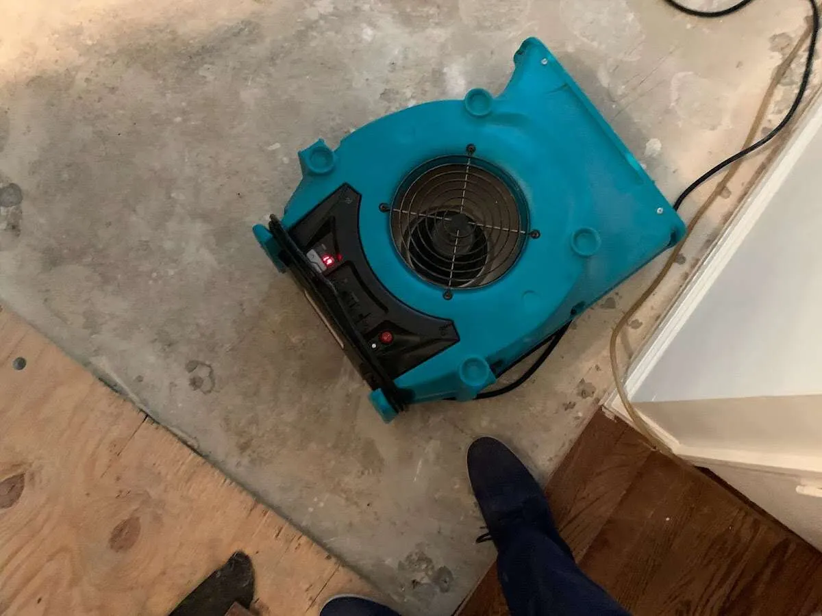 Air mover drying subfloor during Leak Detection & Repair in Homer